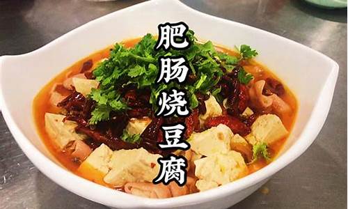 肥肠豆腐做法-肥肠炖豆腐的家常做法视频